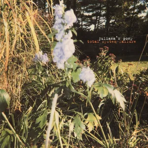 Juliana's pony : total system failure